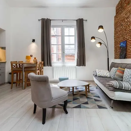 Apartamento ❤️ Ancien Rénové Place Des Carmes Toulouse
