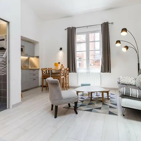 ❤️ Ancien Rénové Place Des Carmes * Toulouse