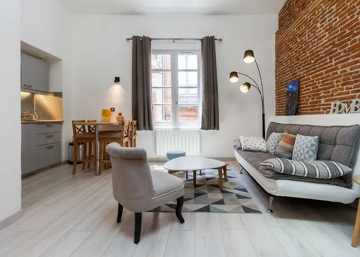 Apartamento ❤️ Ancien Rénové Place Des Carmes Toulouse