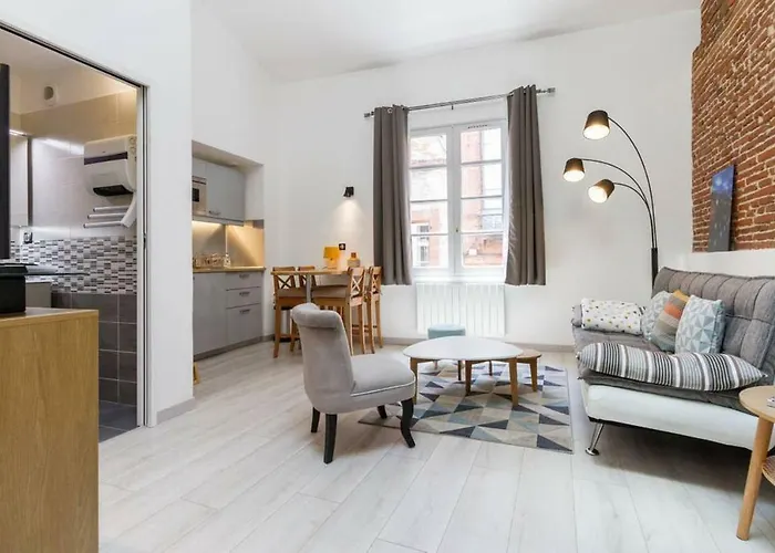 ❤️ Ancien Renove Place Des Carmes * トゥールーズ